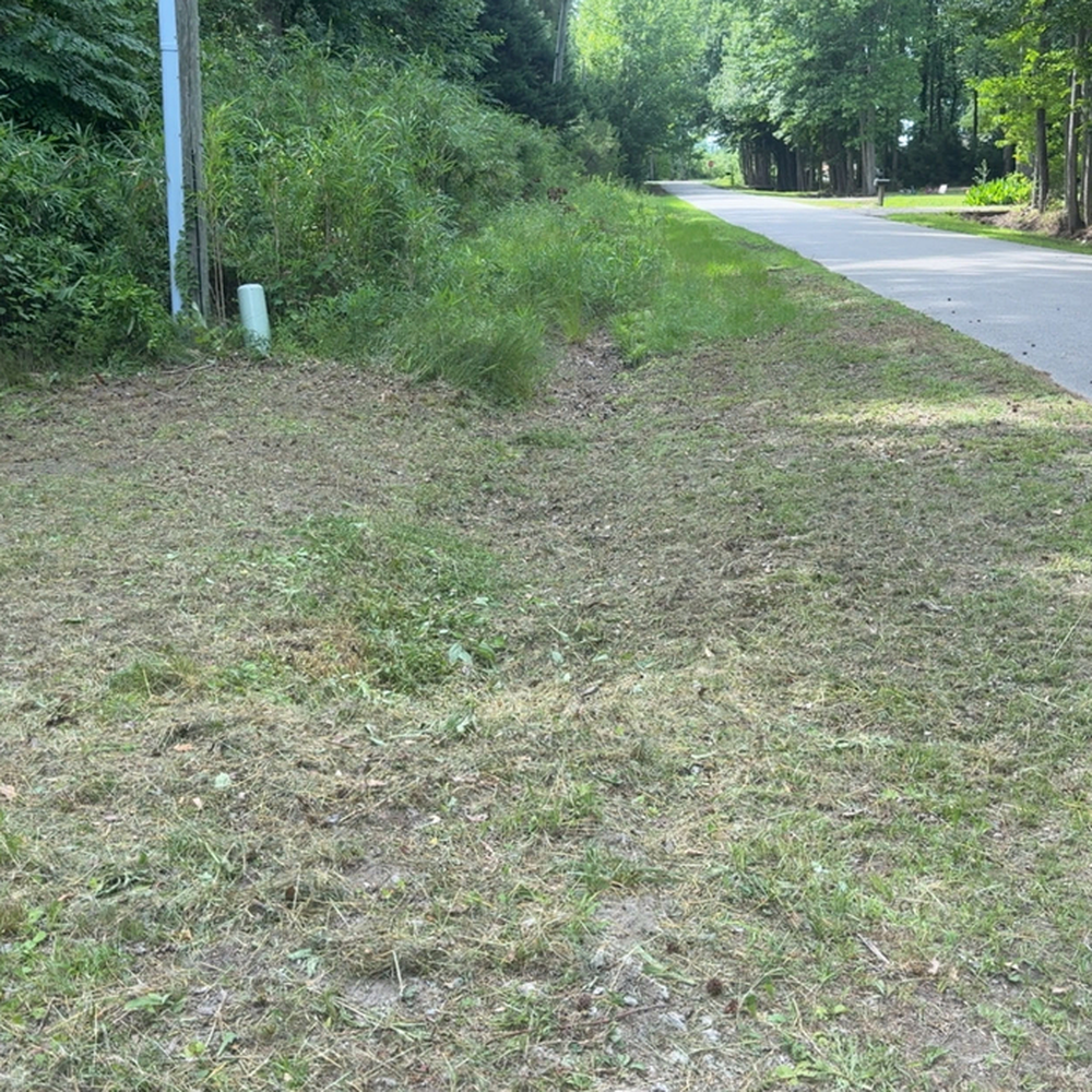 22548890 dlargesquare