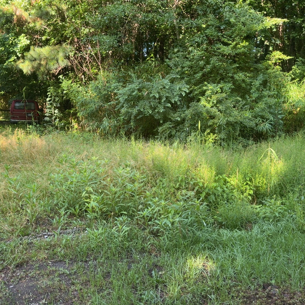 22548885 dlargesquare