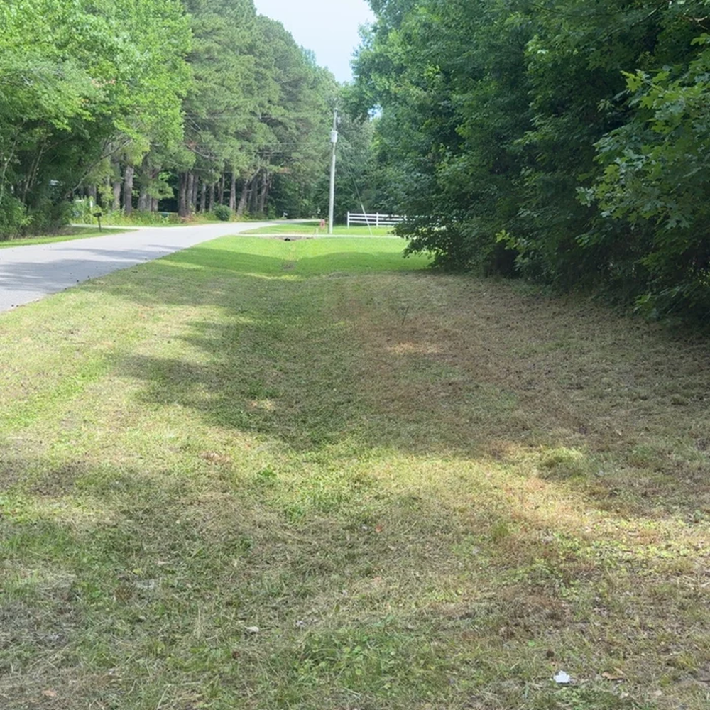 22548892 dlargesquare