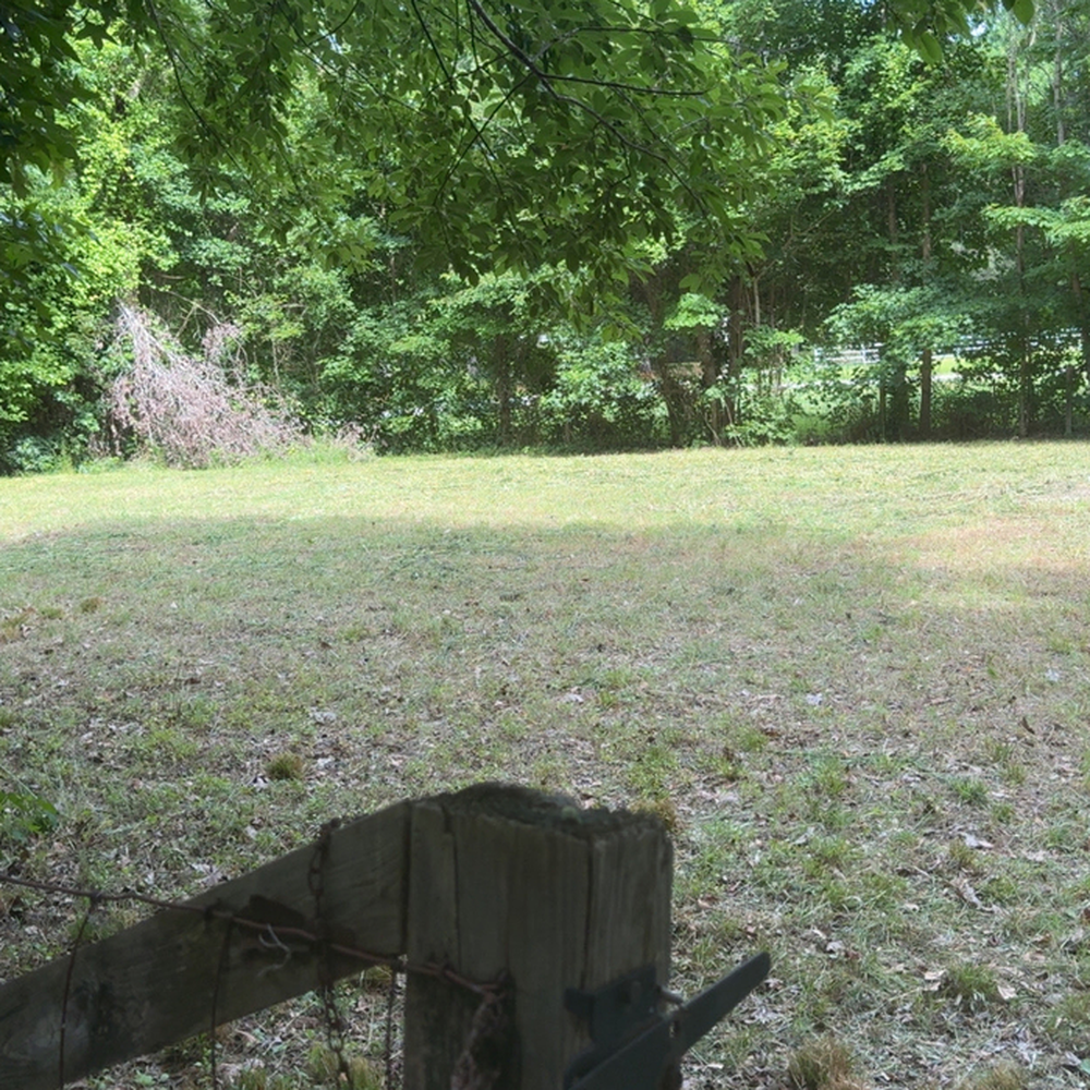 22548888 dlargesquare