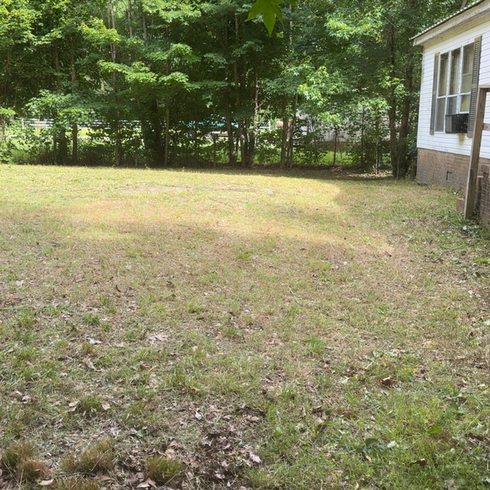 22548889 dlargesquare