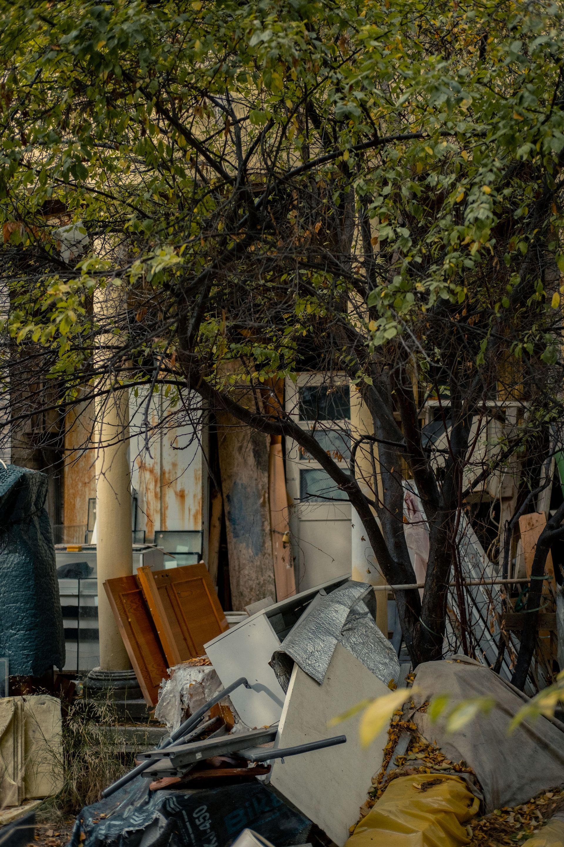 Abandoned building overgrown with trees and debris, capturing urban decay.